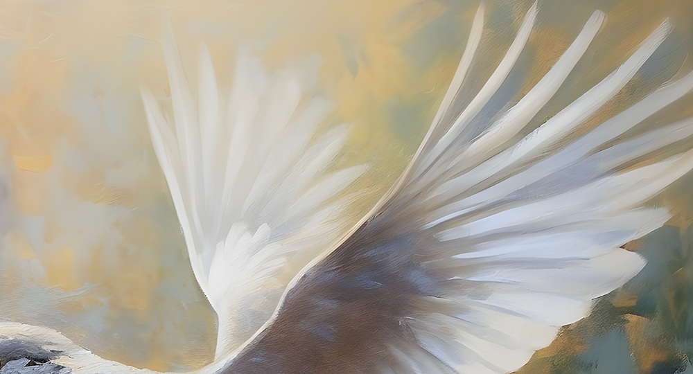 dove wings