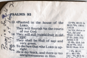 I will never see her again