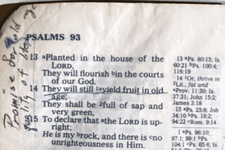 I will never see her again