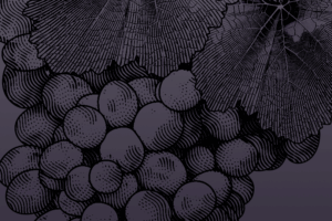 Raise Up, Rebuild, Restore