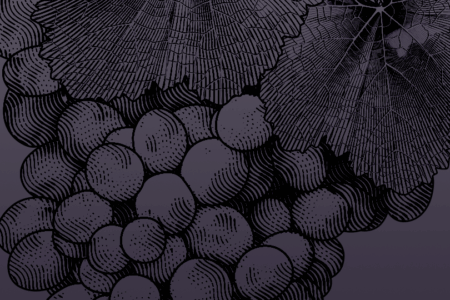 Raise Up, Rebuild, Restore