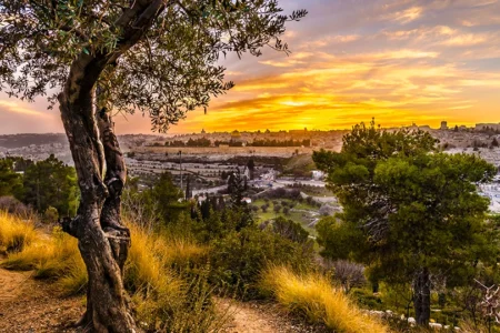 Israel and the Church - photo from Mount of Olives