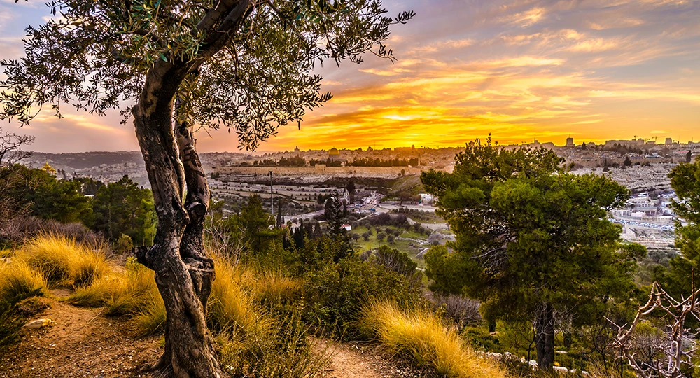 Israel and the Church - photo from Mount of Olives